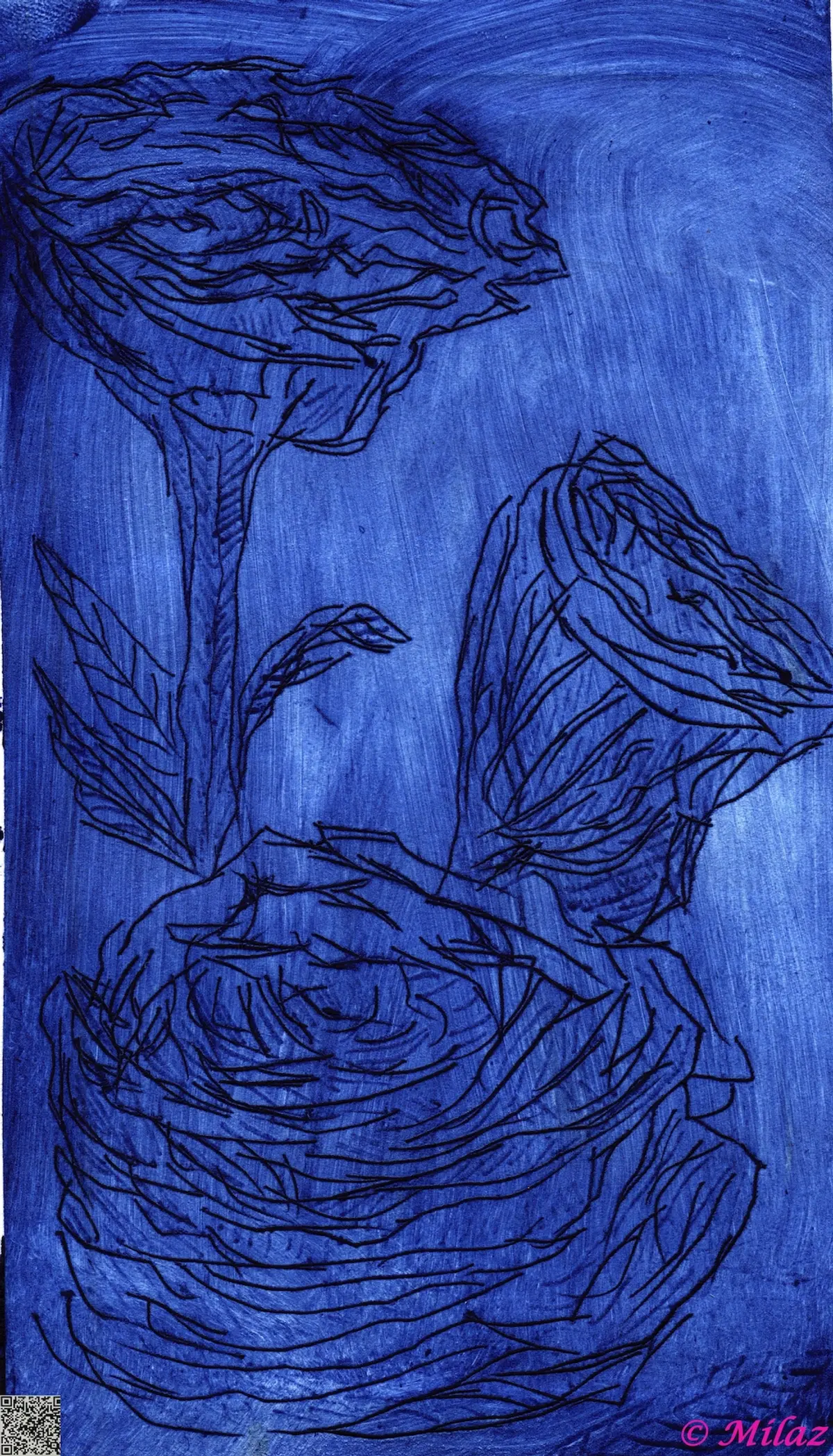 Milaz milaz | Artist Portfolio | HUG